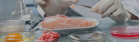 Give the Future of Food