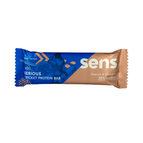 Serious Proteinriegel Erdnuss Zimt