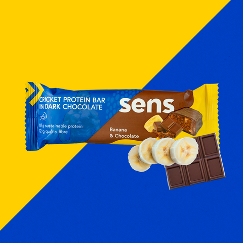 Proteinriegel in dunkler Schokolade Banane Schokolade