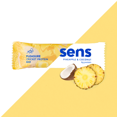 Pleasure Protein Bar Pineapple & Coconut - Outlet