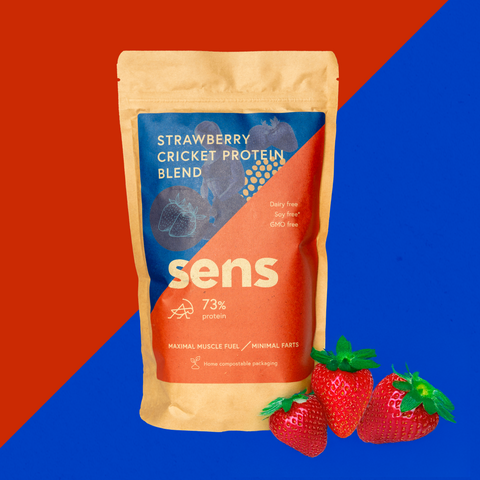 Strawberry Cricket Protein Powder