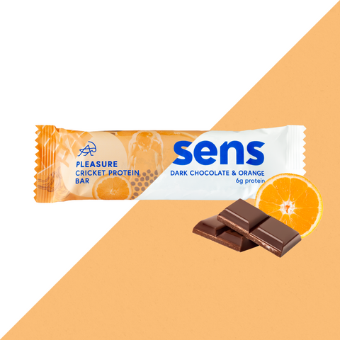 Pleasure Proteinriegel Schokolade Orange