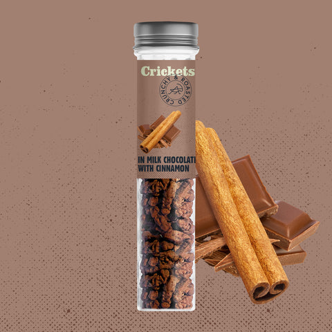 Geröstete essbare Grillen in einer Snack-Geschenkbox