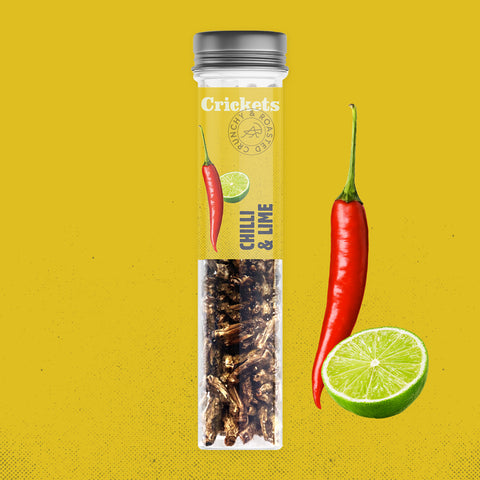 Geröstete essbare Grillen in einer Snack-Geschenkbox