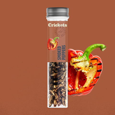 Geröstete essbare Grillen in einer Snack-Geschenkbox
