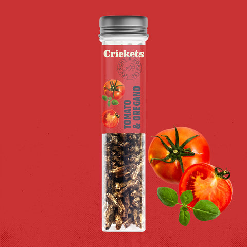 Geröstete essbare Grillen in einer Snack-Geschenkbox