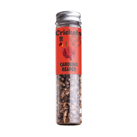 SENS Crickets Carolina Reaper tube