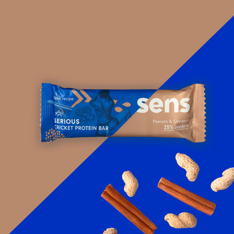 Serious High Protein Bar - Peanut & Cinnamon