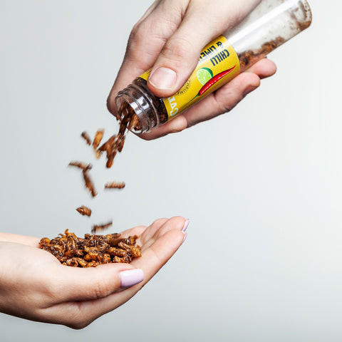 Edible Crunchy Crickets in a Test Tube