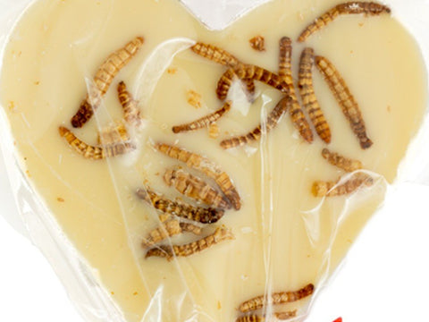 White chocolate lollipop with crunchy mealworms, close-up