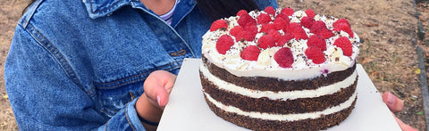 Cricket Flour Cake Recipe