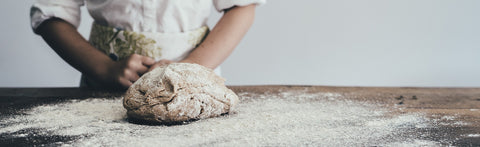 Diet 2.0 – Insect Flours Are Common Ingredients