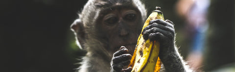 This Works Better Than Counting Calories