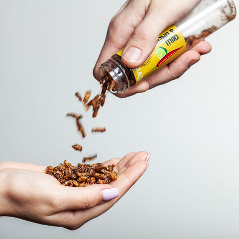Edible Crunchy Crickets in a Test Tube