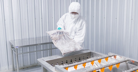 Safe and hygienic cricket farm where Sens crickets are raised